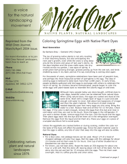 Color Your Springtime Eggs with Colorful Dyes Made