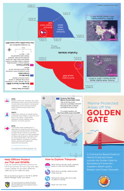 golden gate - Shark Stewards