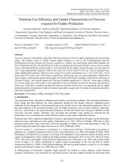 Nutrients Use Efficiency and Uptake Characteristics of Panicum