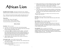 Lion - Rolling Hills Zoo