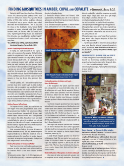 Finding Mosquitoes in Amber and Copal&hellip;