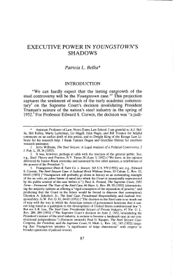 EXECUTIVE POWER IN YOUNGSTOWN`S SHADOWS