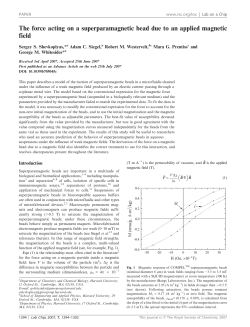 The force acting on a superparamagnetic bead due