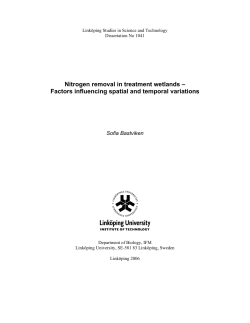 Nitrogen removal in treatment wetlands