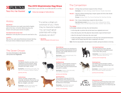 History The Seven Groups The Competition