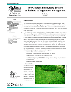The Clearcut Silviculture System as Related to Vegetation