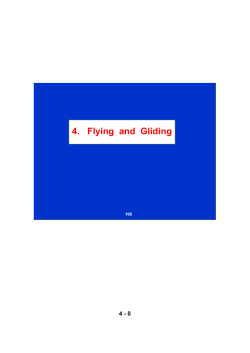 4. Flying and Gliding - ETH E