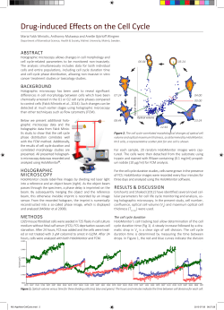 Drug-induced Effects on the Cell Cycle