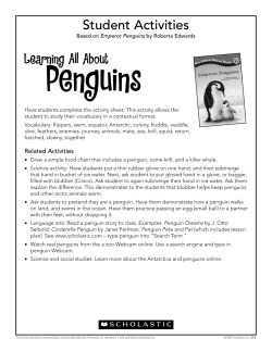 Learning All About Student Activities