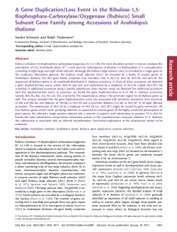 A Gene Duplication/Loss Event in the Ribulose-1,5