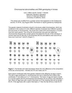 Chromosomal abnormalities and DNA genotyping in horses