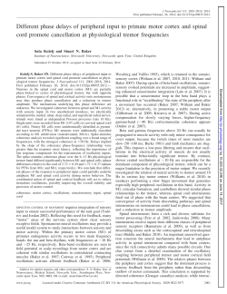 Different phase delays of peripheral input to primate motor cortex