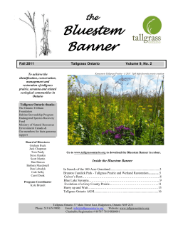 Fall 2011 - Tallgrass Ontario
