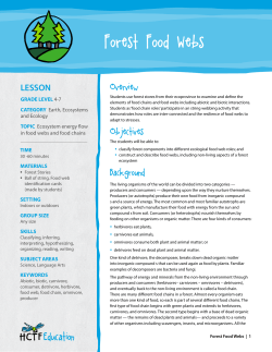 Forest Food Webs