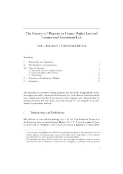 The Concept of Property in Human Rights Law and International
