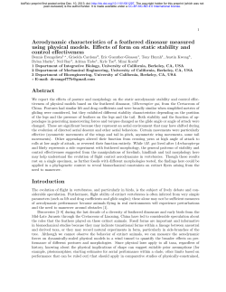 Aerodynamic characteristics of a feathered dinosaur