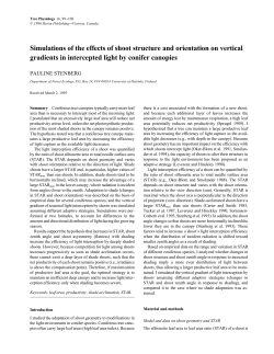 Simulations of the effects of shoot structure and orientation