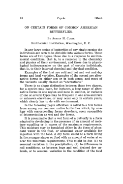 ON CERTAIN FORMS OF COMMON AMERICAN BUTTERFLIES