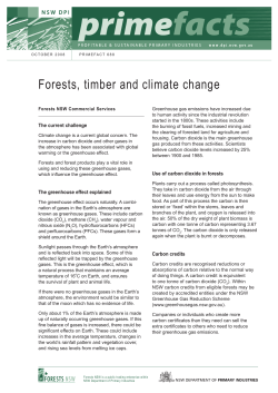Forests, timber and climate change