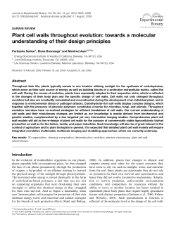 Plant cell walls throughout evolution: towards a