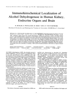 Immunohistochemical Localization of Alcohol Dehydrogenase in