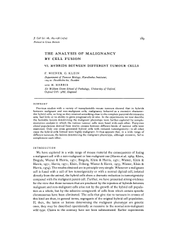 THE ANALYSIS OF MALIGNANCY BY CELL FUSION VI. HYBRIDS