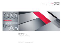 Guideline The Audi colours