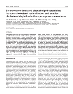 Cholesterol redistribution and sperm activation