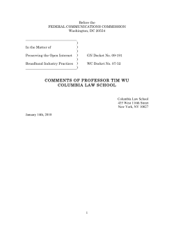 comments of professor tim wu columbia law school
