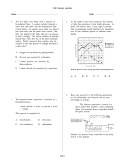Cell Energy practice Name: Date: 1. Two test tubes were