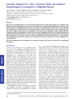 Genomic Support for a Moa&ndash;Tinamou Clade and Adaptive