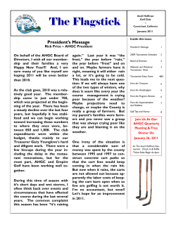 The Flagstick - January 2011