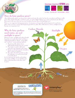 Carbon Dioxide Minerals Water Oxygen Sunlight How do fairy