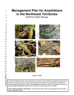 Draft Management Plan for Amphibians in the Northwest Territories