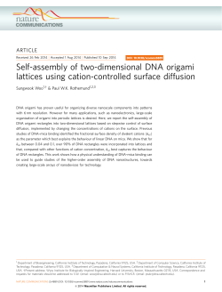Fig. 1 - DNA and Natural Algorithms Group