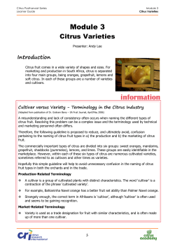 information - Citrus Academy