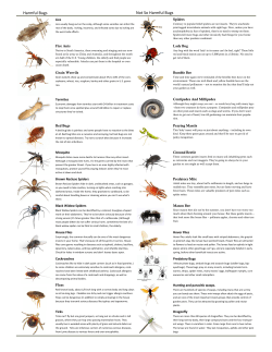 Dirty Dozen-1 - Green Scene Home Inspections