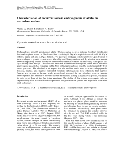 Characterization of auxin-free medium somatic embryogenesis of