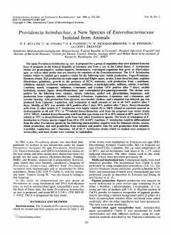 Providencia heimbachae - International Journal of Systematic and