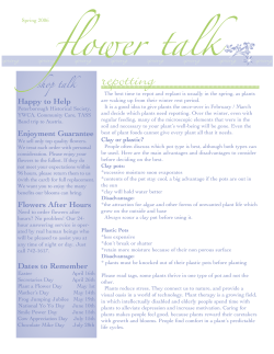 Spring 2006 - East City Flower Shop