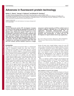 Advances in fluorescent protein technology