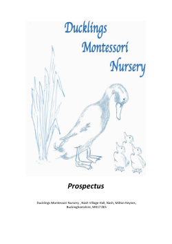 Prospectus - Ducklings Montessori Nursery