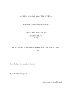 Frontespizio della tesi