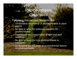 Photosynthesis Objectives
