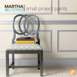 small project paints