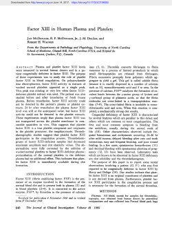 Factor XIII in Human Plasma and Platelets