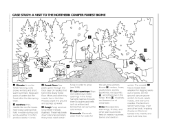 case study: a visit to the northern conifer forest biome