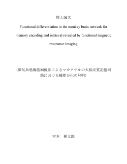 博士論文 Functional differentiation in the monkey brain network for