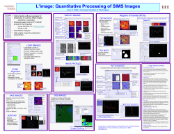 Supernova Dust at Sub-Micrometer Scales Larry R. Nittler1