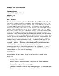 Red Maple – Sedge Palustrine Woodland System: Palustrine